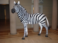 Jack the zebra